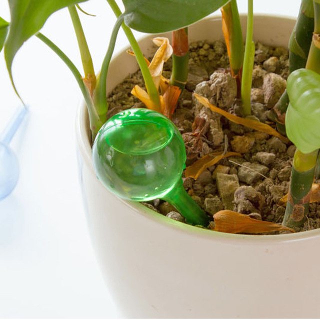Automatic Houseplant Watering Bulb