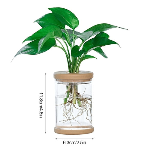 Mini Hydroponic Plant Pot