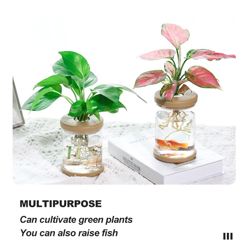 Mini Hydroponic Plant Pot