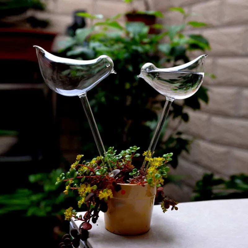 Houseplant Automatic Self Watering Glass Varieties Bird