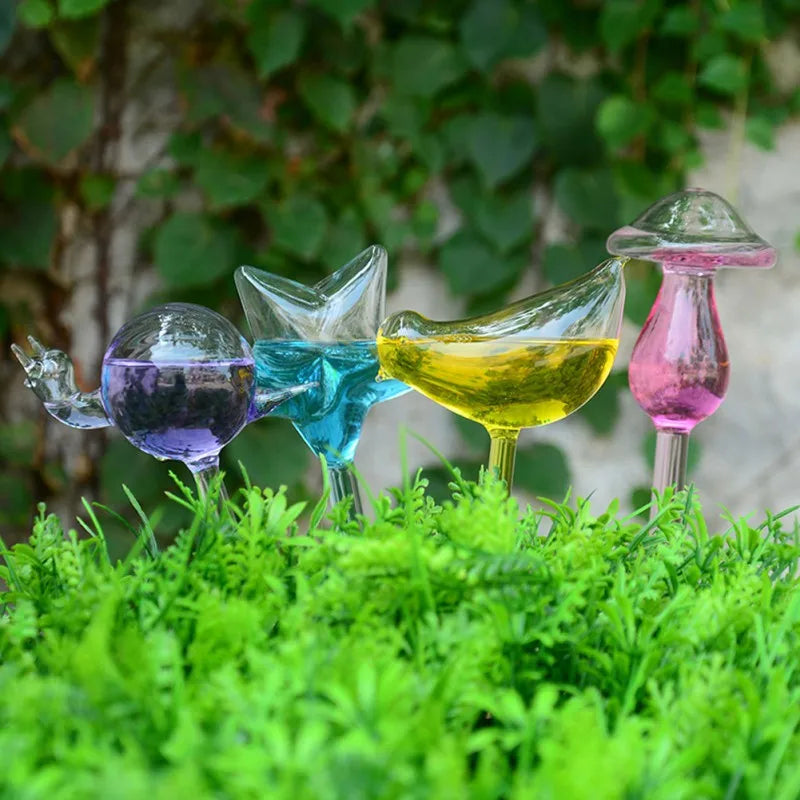 Houseplant Automatic Self Watering Glass Varieties