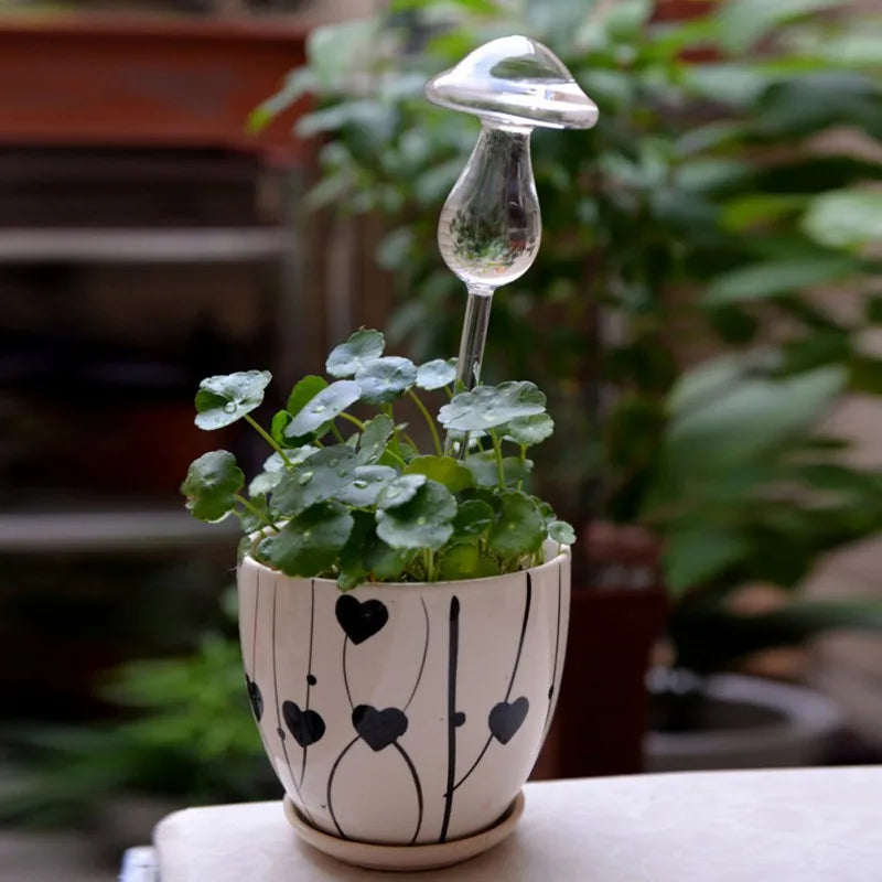 Houseplant Automatic Self Watering Glass Varieties Mushroom