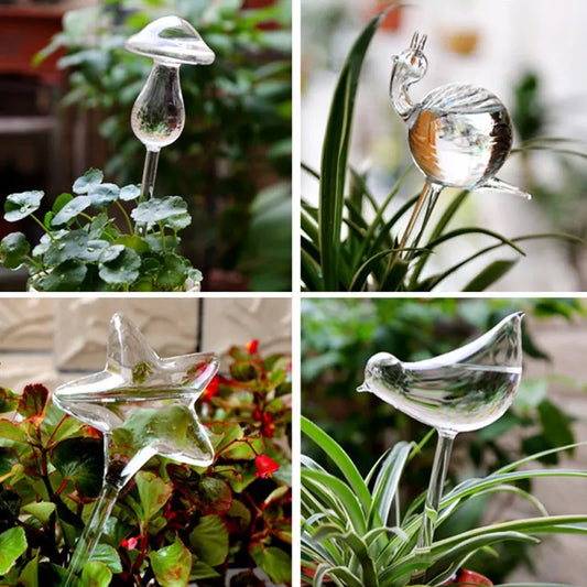 Houseplant Automatic Self Watering Glass Varieties