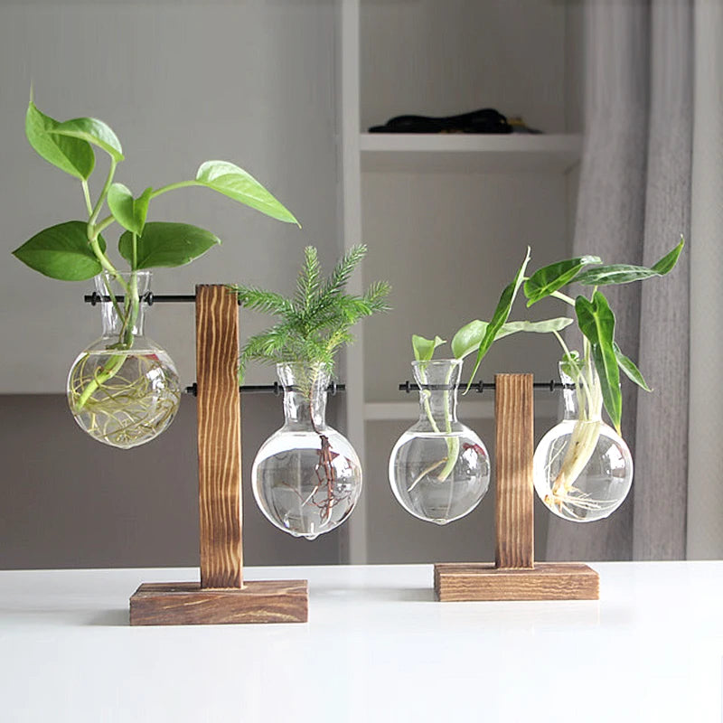 Glass Hydroponic Vases with Wooden Stand