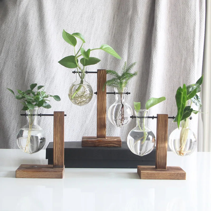 Glass Hydroponic Vases with Wooden Stand