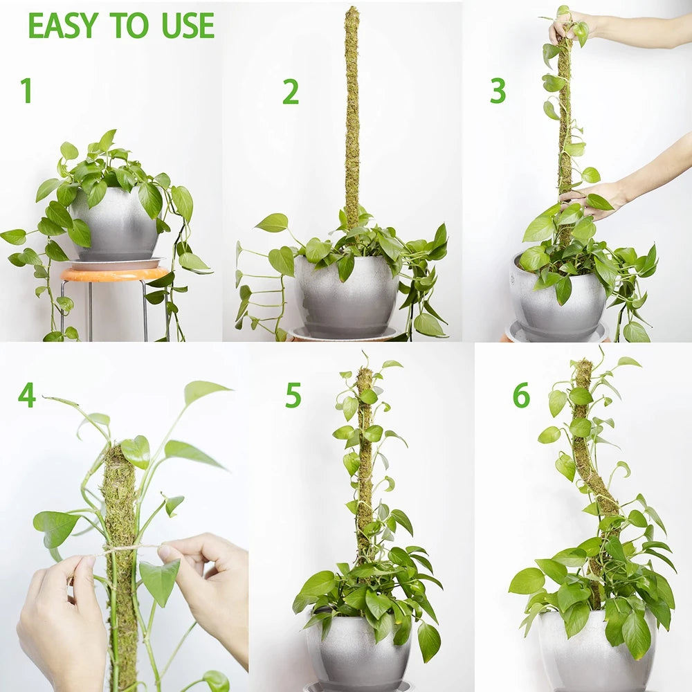 Bendable Natural Moss Pole for Plants
