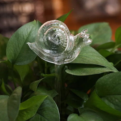 Houseplant Automatic Self Watering Glass Varieties Snail