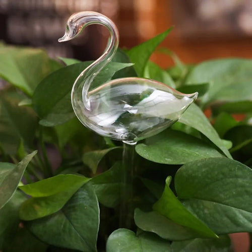 Houseplant Automatic Self Watering Glass Varieties Swan