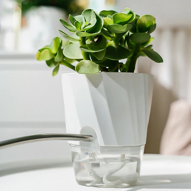 Lazy Hydroponic Automatic Water-Absorbing Planter