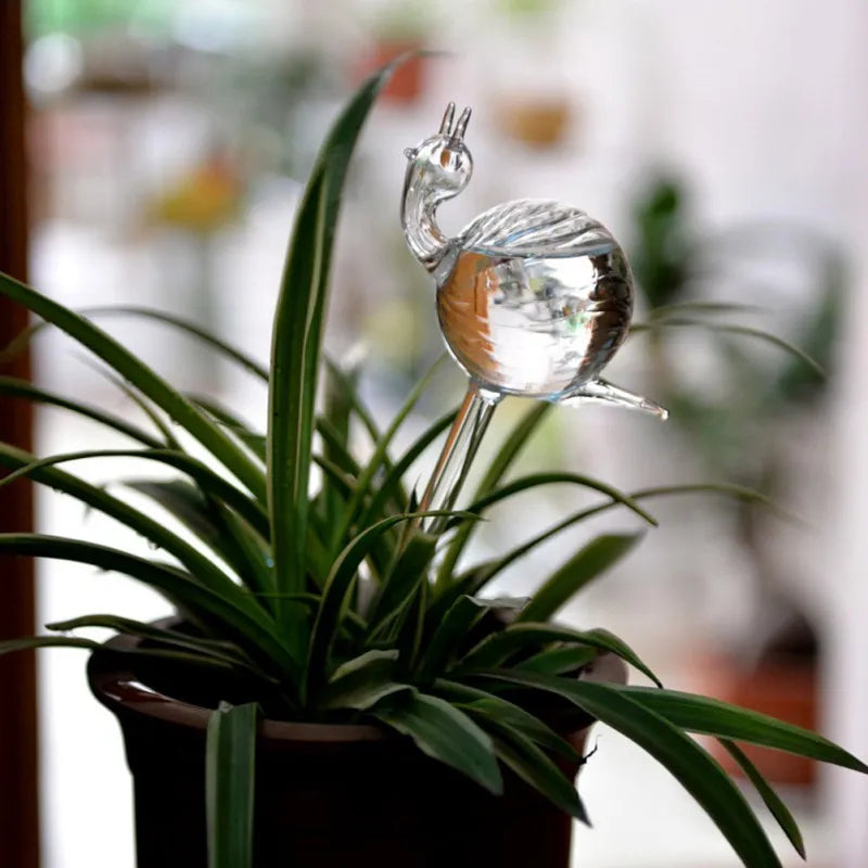 Houseplant Automatic Self Watering Glass Varieties Snail