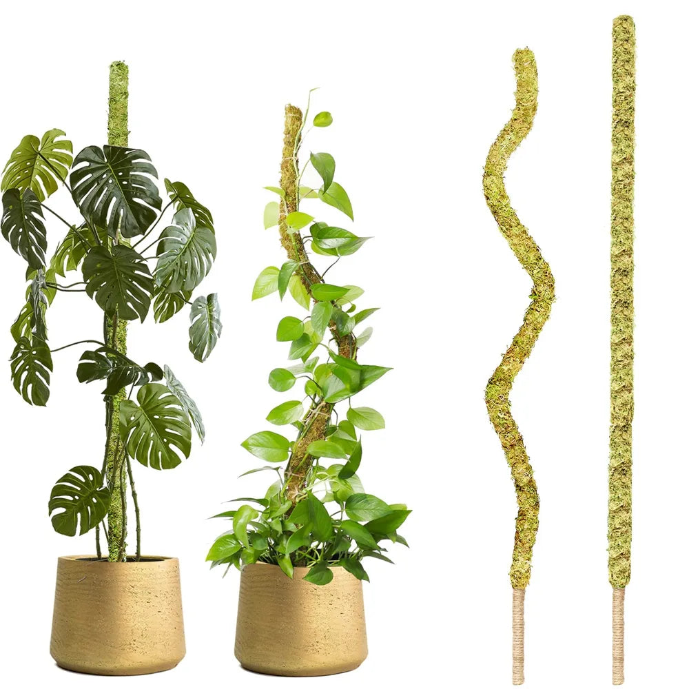 Bendable Natural Moss Pole for Plants