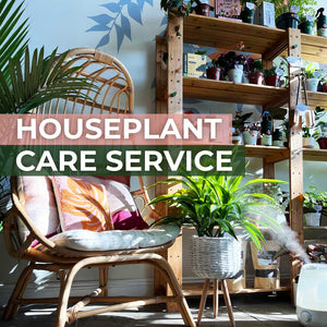 Complete Houseplant Care and Education