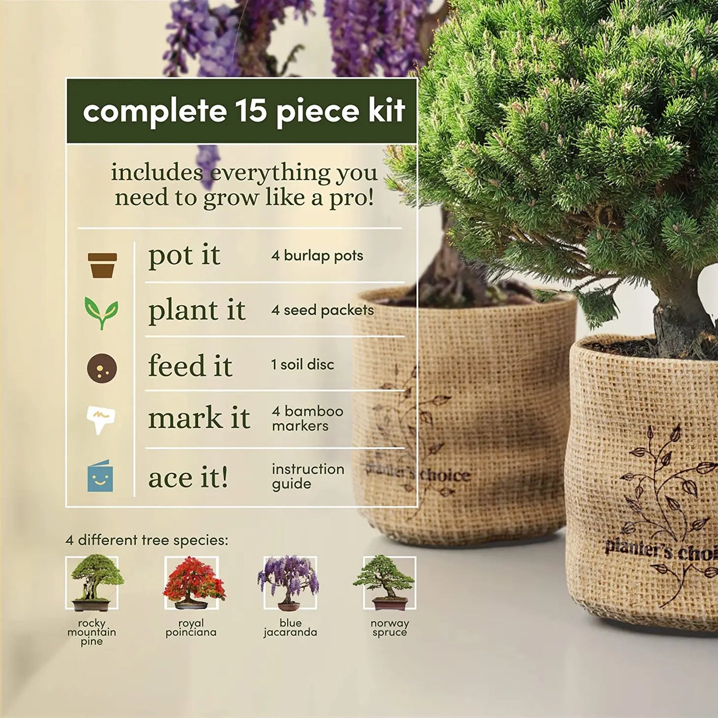 Bonsai Starter Kit