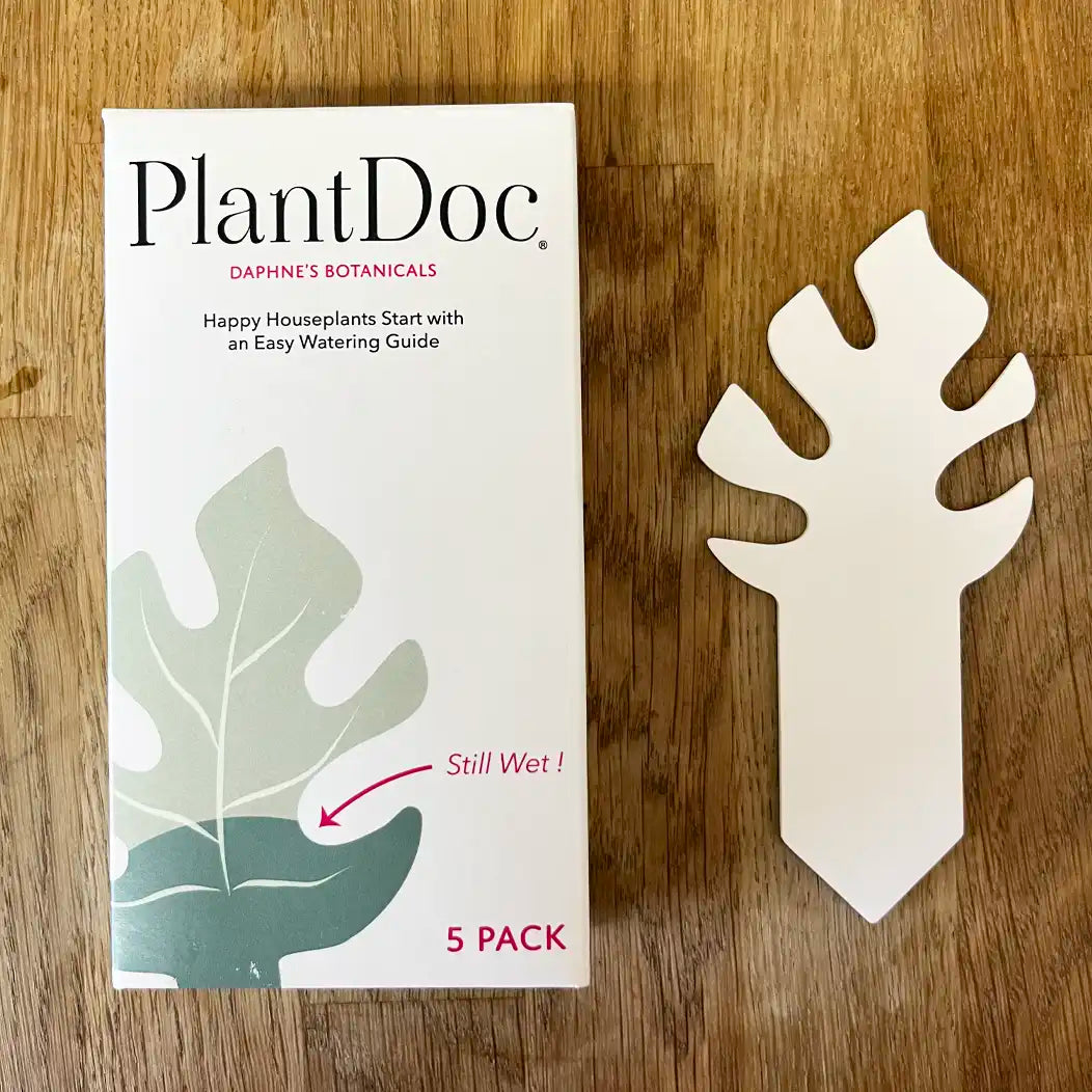 PlantDoc 5-Pack: Color-Change Watering Guide for Houseplants